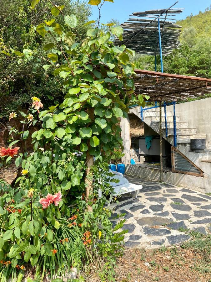 Guest Room Agro-Turismo Quinta Da Fonte Bed&Breakfast 피게이로 두스 비뉴스 외부 사진