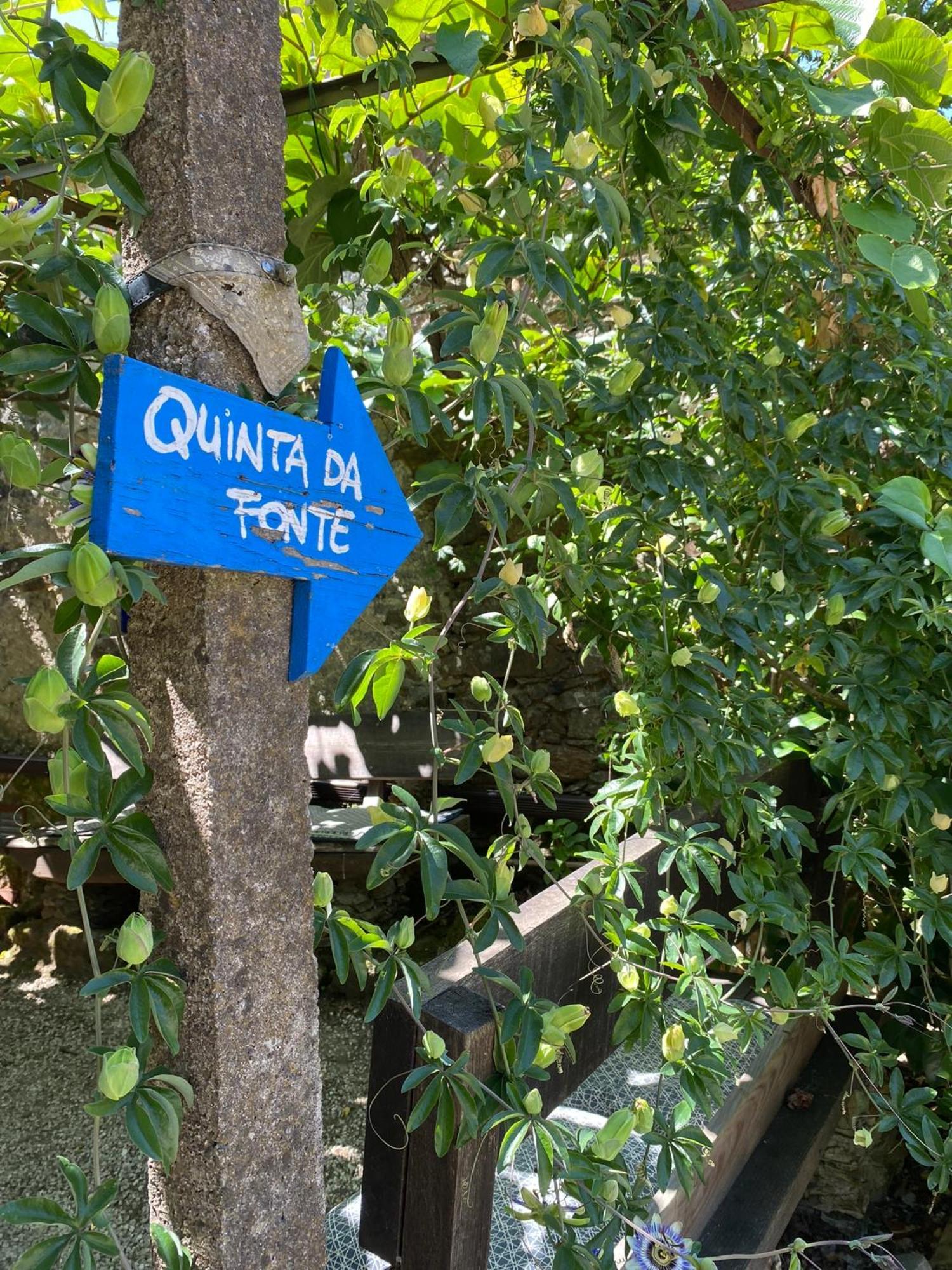 Guest Room Agro-Turismo Quinta Da Fonte Bed&Breakfast 피게이로 두스 비뉴스 외부 사진