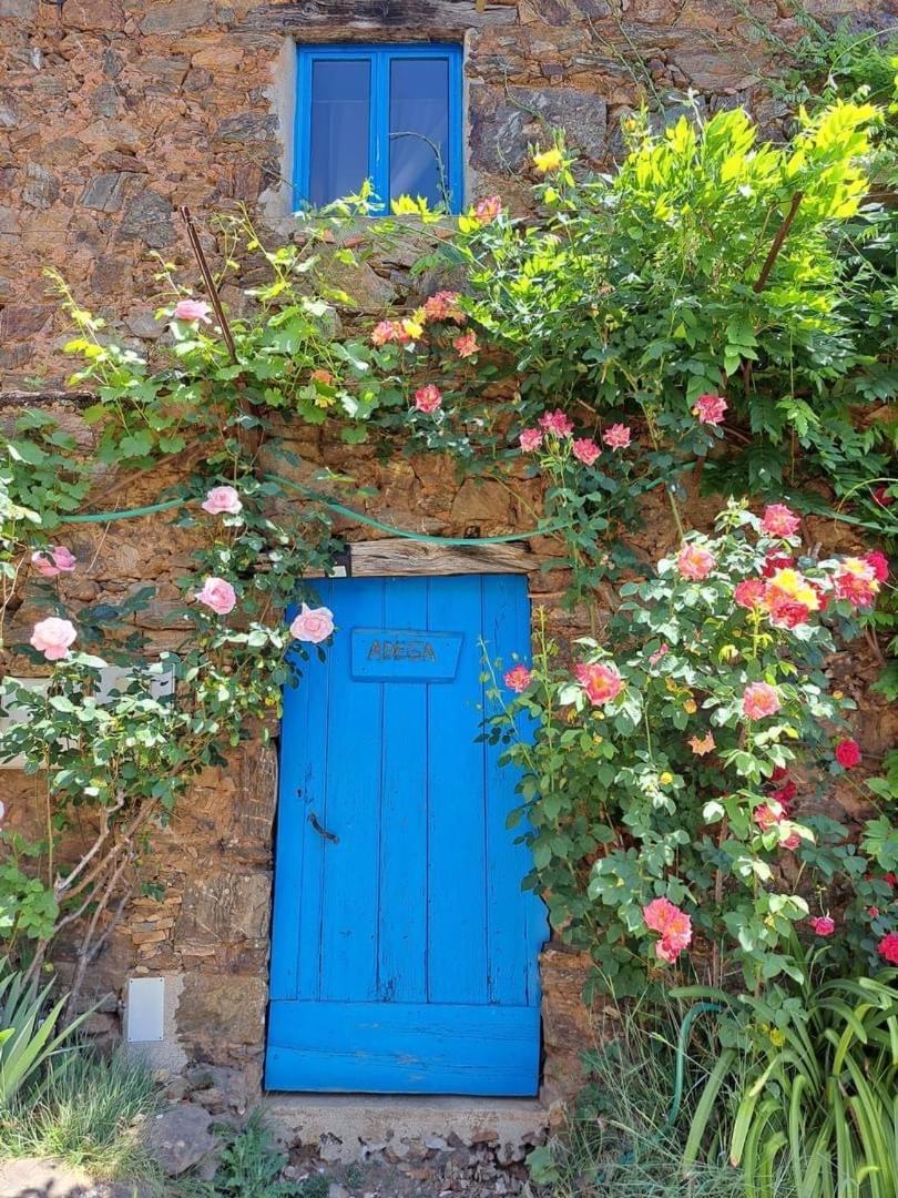 Guest Room Agro-Turismo Quinta Da Fonte Bed&Breakfast 피게이로 두스 비뉴스 외부 사진