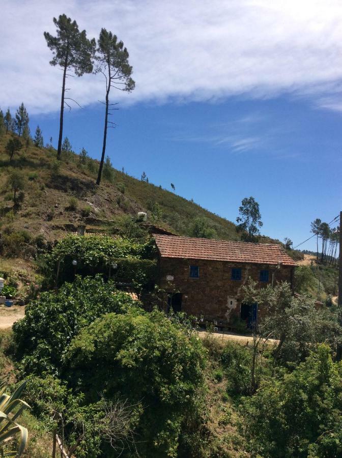 Guest Room Agro-Turismo Quinta Da Fonte Bed&Breakfast 피게이로 두스 비뉴스 외부 사진