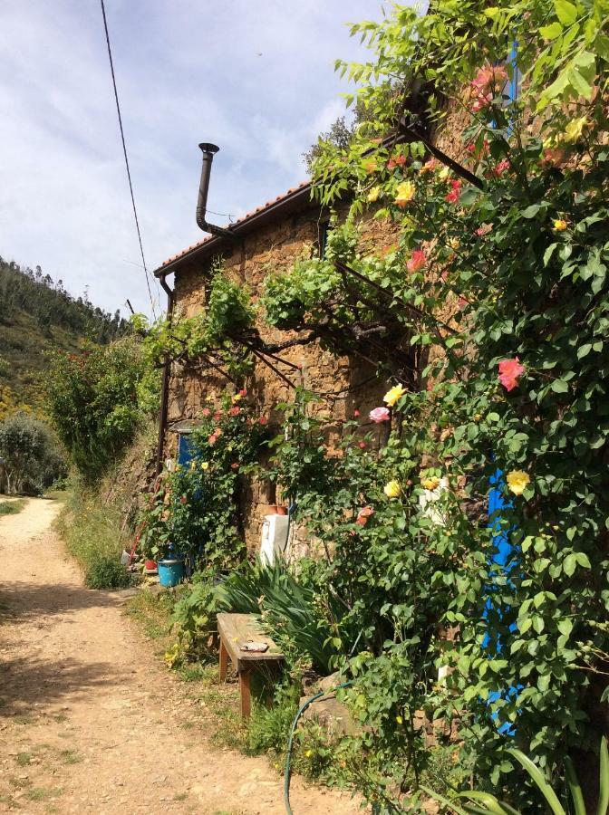 Guest Room Agro-Turismo Quinta Da Fonte Bed&Breakfast 피게이로 두스 비뉴스 외부 사진