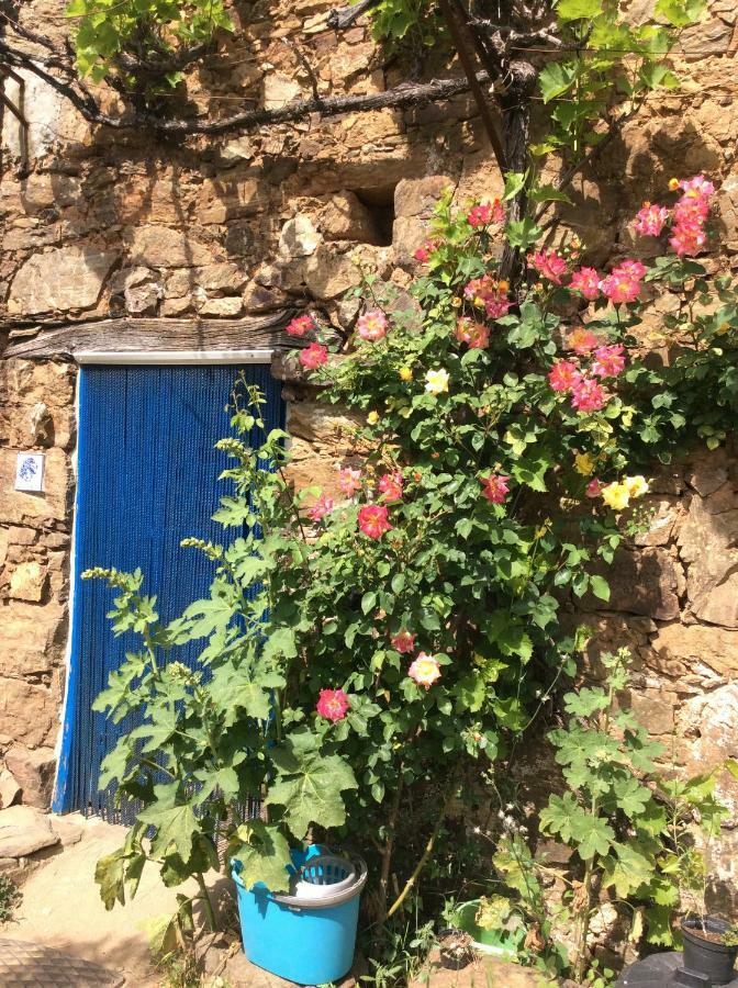 Guest Room Agro-Turismo Quinta Da Fonte Bed&Breakfast 피게이로 두스 비뉴스 외부 사진