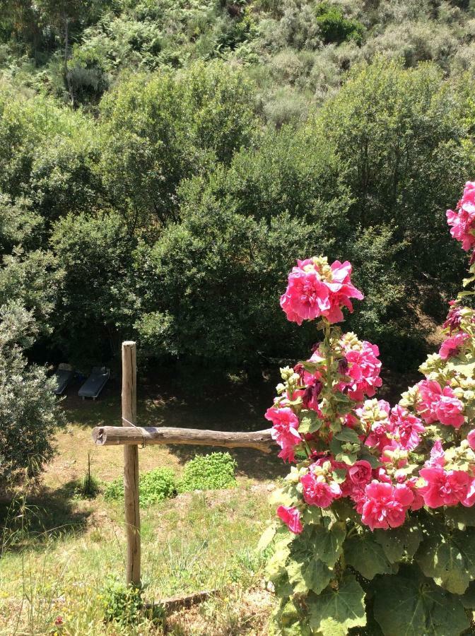 Guest Room Agro-Turismo Quinta Da Fonte Bed&Breakfast 피게이로 두스 비뉴스 외부 사진