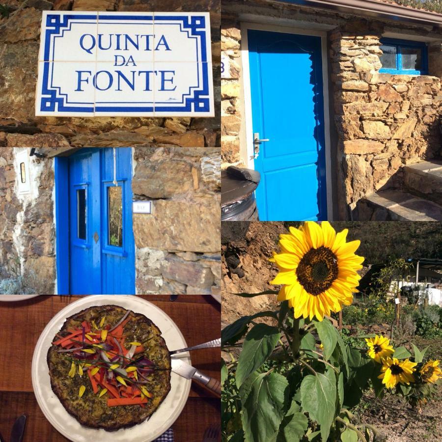 Guest Room Agro-Turismo Quinta Da Fonte Bed&Breakfast 피게이로 두스 비뉴스 외부 사진
